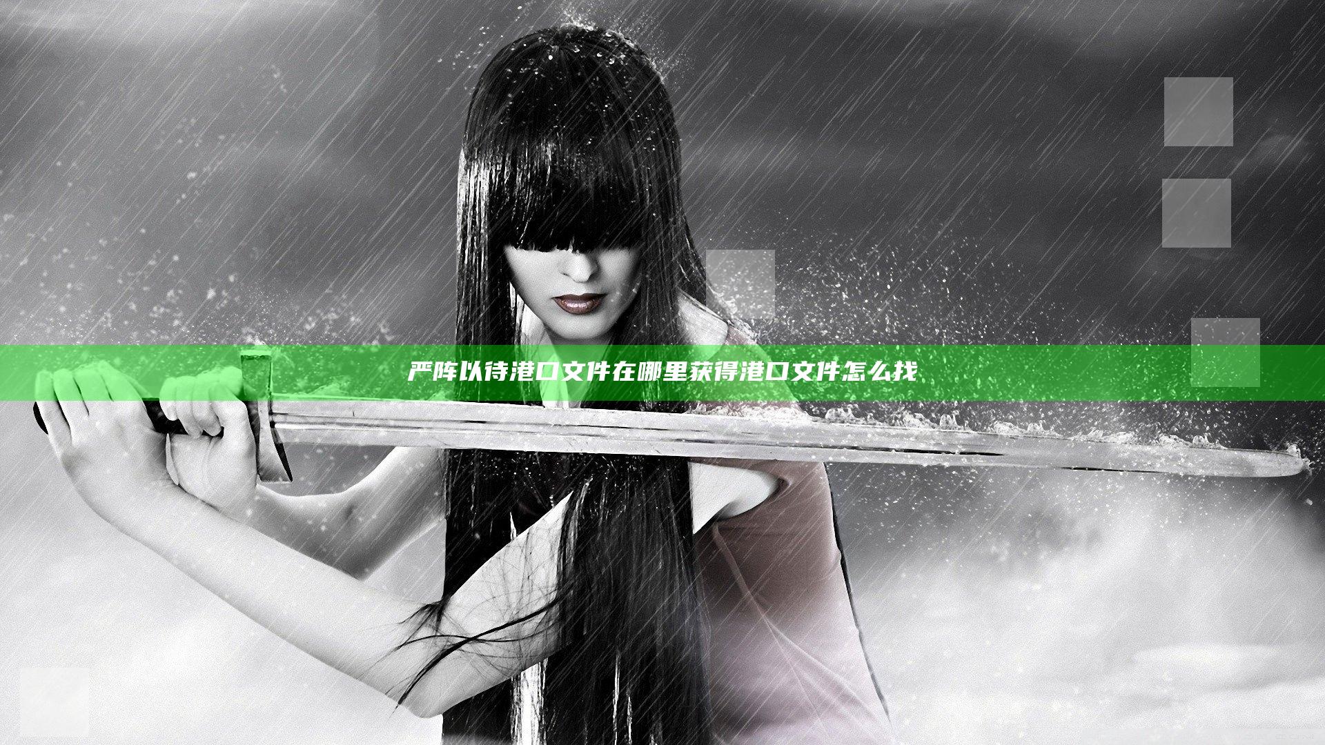 严阵以待港口文件在哪里获得 港口文件怎么找