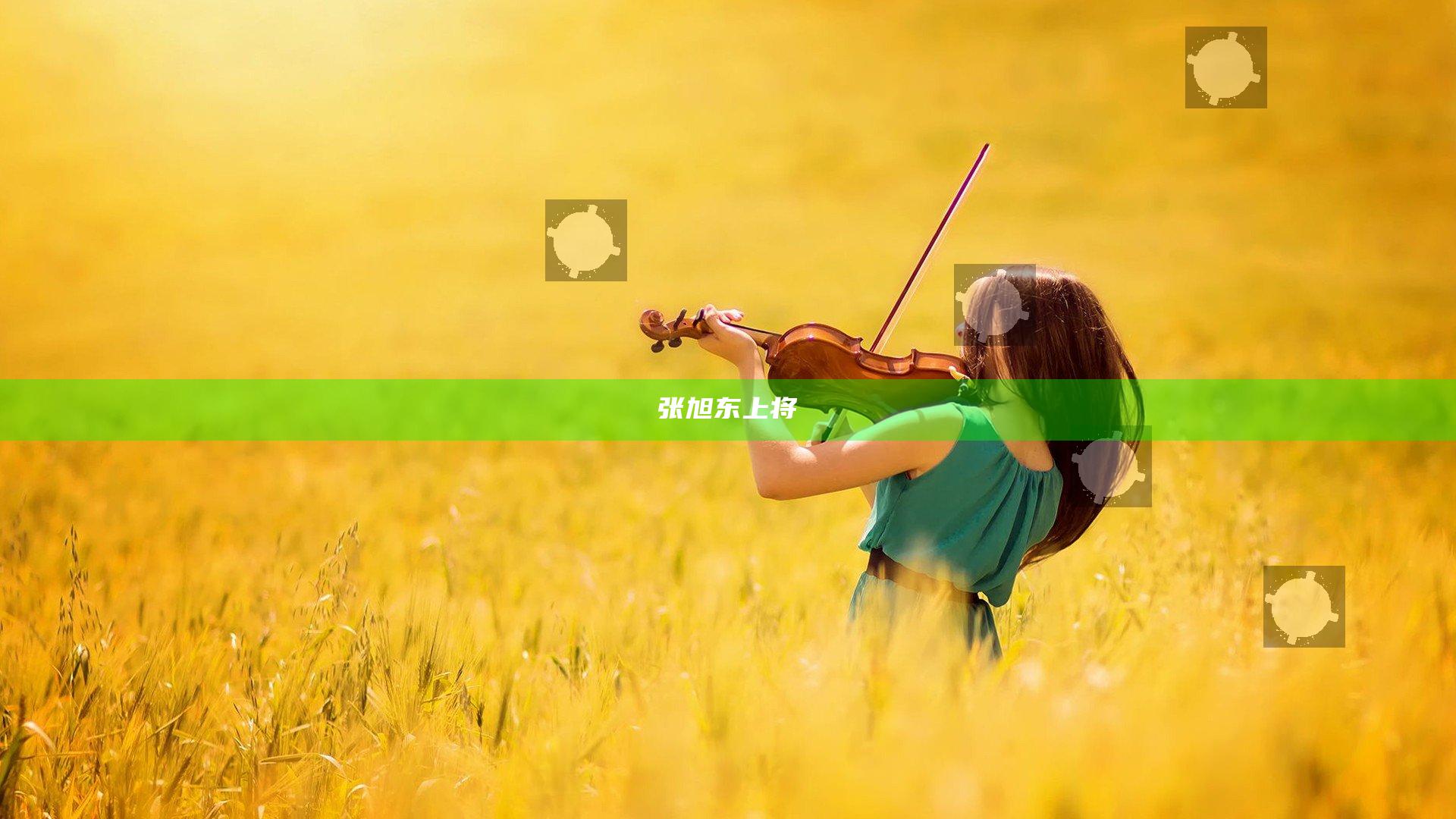 张旭东上将