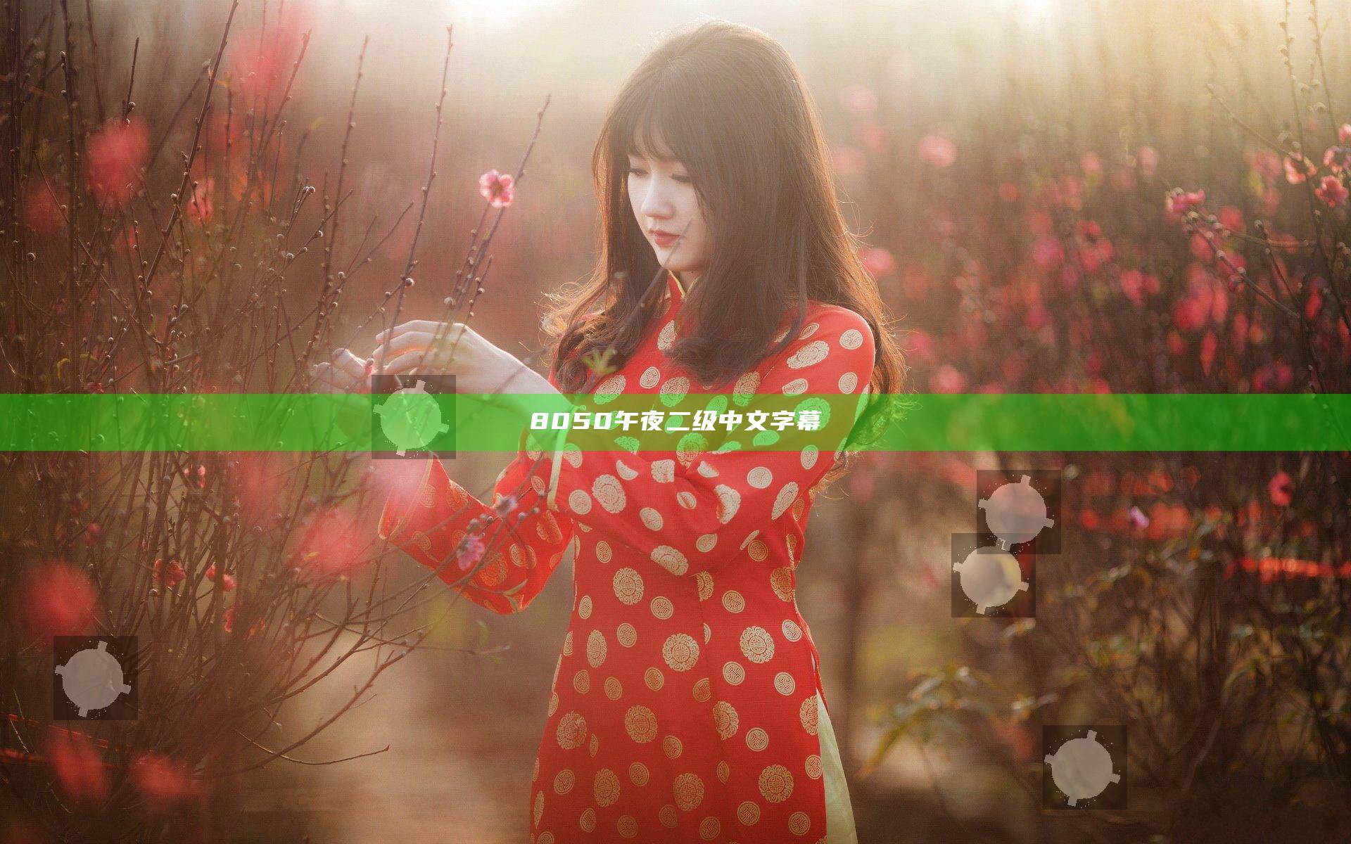 8050午夜二级中文字幕