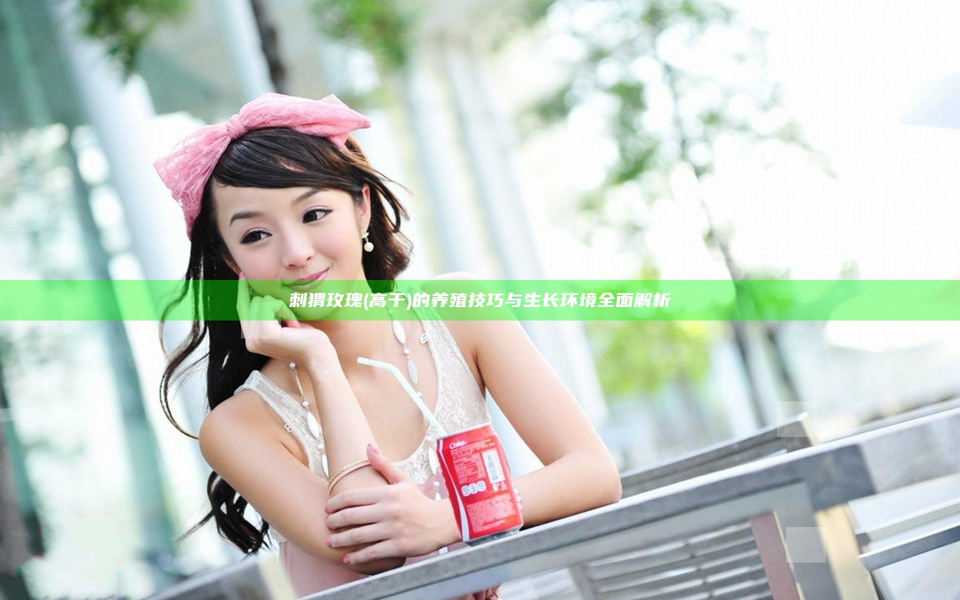 刺猬玫瑰(高干)的养殖技巧与生长环境全面解析