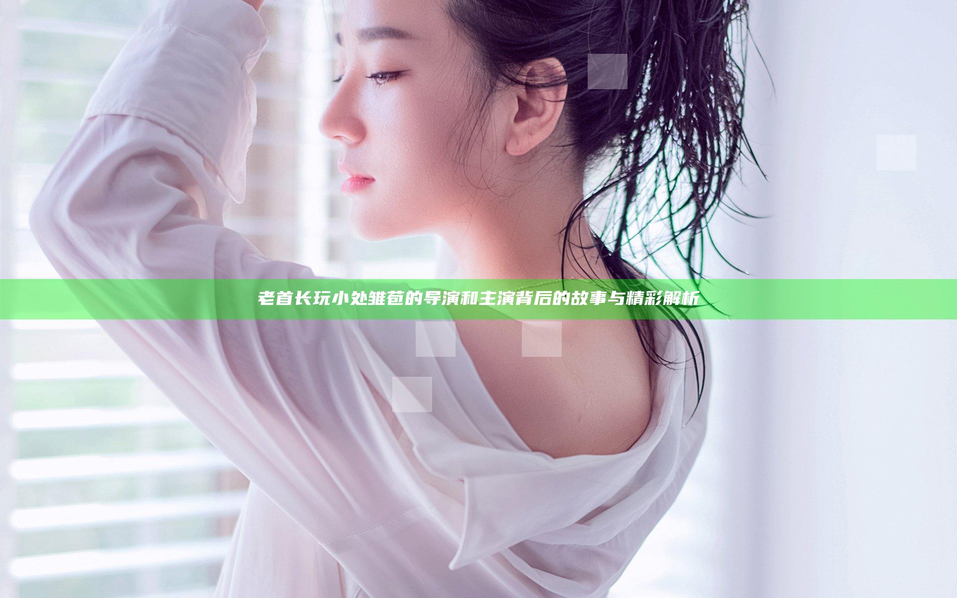 老首长玩小处雏苞的导演和主演背后的故事与精彩解析