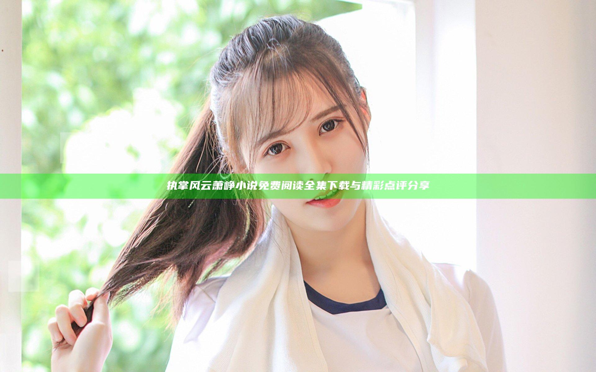 执掌风云萧峥小说免费阅读全集下载与精彩点评分享